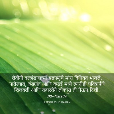 Picture 03 - 2 इतिहास 35:13 MARIRV - लेवींनी - Bible Verse Picture