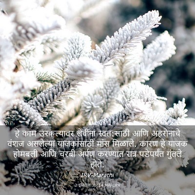 Picture 03 - 2 इतिहास 35:14 MARIRV - हे काम उरकल्यावर - Bible Verse Picture