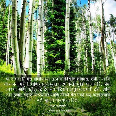 Picture 03 - 2 इतिहास 35:8 MARIRV - या उत्सवा निमित्त - Bible Verse Picture