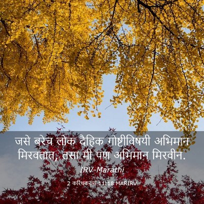 Picture 03 - 2 करिंथकरांस 11:18 MARIRV - जसे बरेच लोक दैहिक - Bible Verse Picture
