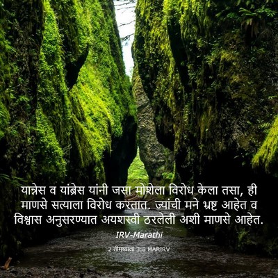 Picture 03 - 2 तीमथ्याला 3:8 MARIRV - यान्नेस व - Bible Verse Picture
