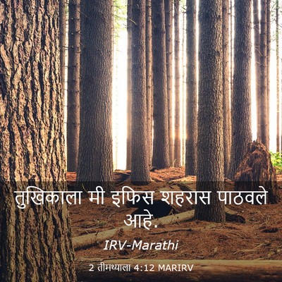Picture 03 - 2 तीमथ्याला 4:12 MARIRV - तुखिकाला मी इफिस - Bible Verse Picture
