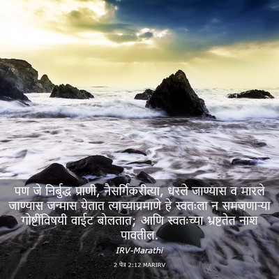 Picture 03 - 2 पेत्र 2:12 MARIRV - पण जे निर्बुद्ध - Bible Verse Picture
