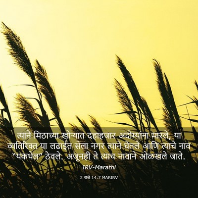Picture 03 - 2 राजे 14:7 MARIRV - त्याने मिठाच्या - Bible Verse Picture