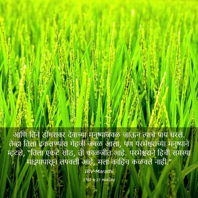 Picture 03 - 2 राजे 4:27 MARIRV - आणि तिने डोंगरावर - Bible Verse Picture