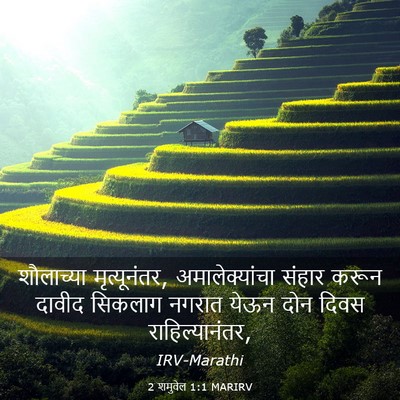 Picture 03 - 2 शमुवेल 1:1 MARIRV - शौलाच्या - Bible Verse Picture