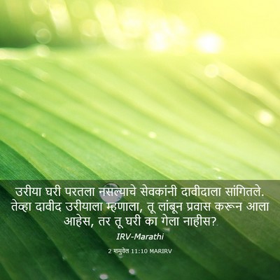 Picture 03 - 2 शमुवेल 11:10 MARIRV - उरीया घरी परतला - Bible Verse Picture