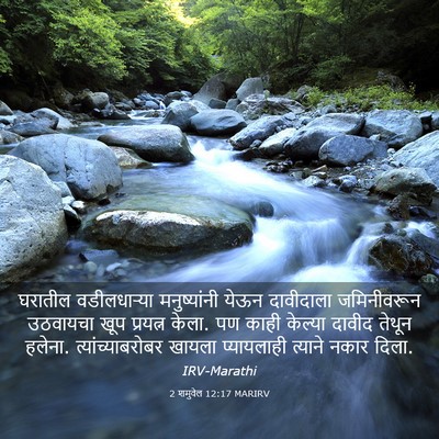 Picture 03 - 2 शमुवेल 12:17 MARIRV - घरातील वडीलधाऱ्या - Bible Verse Picture