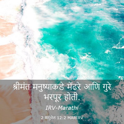 Picture 03 - 2 शमुवेल 12:2 MARIRV - श्रीमंत - Bible Verse Picture