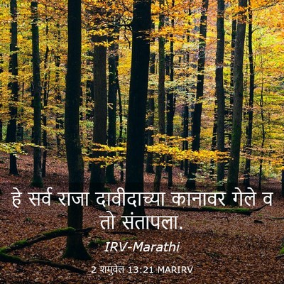 Picture 03 - 2 शमुवेल 13:21 MARIRV - हे सर्व राजा - Bible Verse Picture