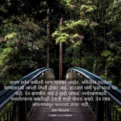 Picture 03 - 2 शमुवेल 14:14 MARIRV - आपण सर्वच कधीतरी - Bible Verse Picture
