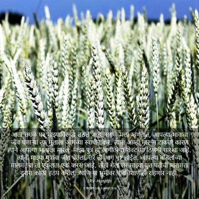 Picture 03 - 2 शमुवेल 14:7 MARIRV - आता सगळे घर - Bible Verse Picture