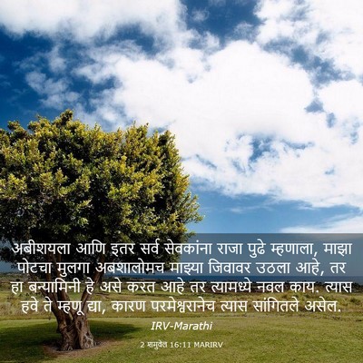 Picture 03 - 2 शमुवेल 16:11 MARIRV - अबीशयला आणि इतर - Bible Verse Picture