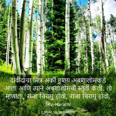 Picture 03 - 2 शमुवेल 16:16 MARIRV - दावीदाचा मित्र - Bible Verse Picture