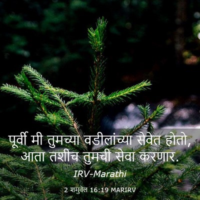 Picture 03 - 2 शमुवेल 16:19 MARIRV - पूर्वी मी तुमच्या - Bible Verse Picture