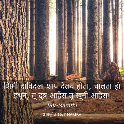 Picture 03 - 2 शमुवेल 16:7 MARIRV - शिमी दाविदला शाप - Bible Verse Picture