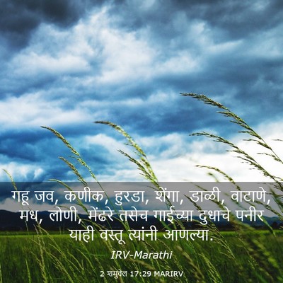 Picture 03 - 2 शमुवेल 17:29 MARIRV - गहू जव, कणीक, हुरडा, - Bible Verse Picture