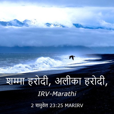 Picture 03 - 2 शमुवेल 23:25 MARIRV - शम्मा हरोदी, अलीका - Bible Verse Picture