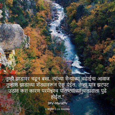 Picture 03 - 2 शमुवेल 5:24 MARIRV - तुम्ही झाडावर - Bible Verse Picture