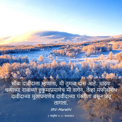 Picture 03 - 2 शमुवेल 9:11 MARIRV - सीबा दावीदाला - Bible Verse Picture