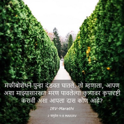 Picture 03 - 2 शमुवेल 9:8 MARIRV - मफीबोशेथने पुन्हा - Bible Verse Picture