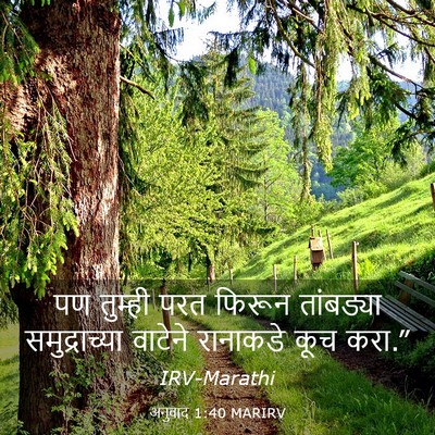 Picture 03 - अनुवाद 1:40 MARIRV - पण तुम्ही परत - Bible Verse Picture
