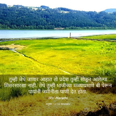 Picture 03 - अनुवाद 11:10 MARIRV - तुम्ही जेथे जाणार - Bible Verse Picture