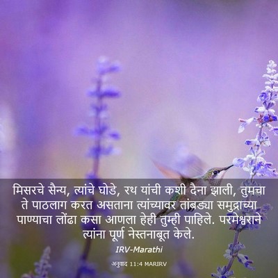Picture 03 - अनुवाद 11:4 MARIRV - मिसरचे सैन्य, - Bible Verse Picture