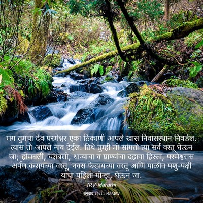 Picture 03 - अनुवाद 12:11 MARIRV - मग तुमचा देव - Bible Verse Picture