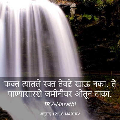 Picture 03 - अनुवाद 12:16 MARIRV - फक्त त्यातले रक्त - Bible Verse Picture