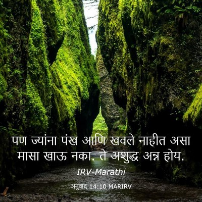 Picture 03 - अनुवाद 14:10 MARIRV - पण ज्यांना पंख आणि - Bible Verse Picture