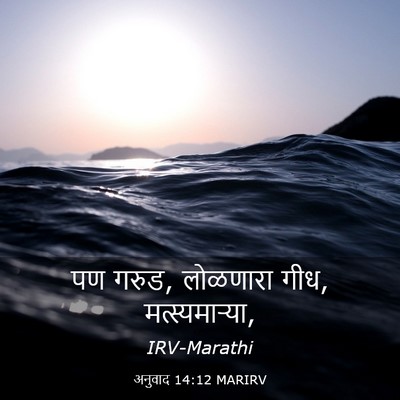 Picture 03 - अनुवाद 14:12 MARIRV - पण गरुड, लोळणारा - Bible Verse Picture