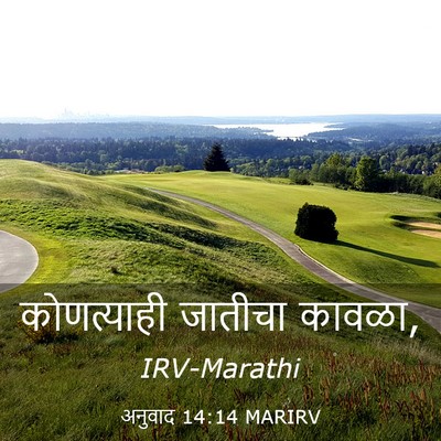 Picture 03 - अनुवाद 14:14 MARIRV - कोणत्याही जातीचा - Bible Verse Picture