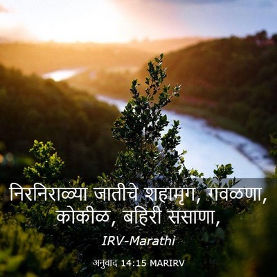 Picture 03 - अनुवाद 14:15 MARIRV - निरनिराळ्या - Bible Verse Picture
