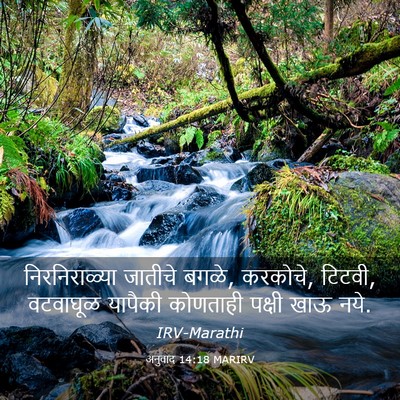 Picture 03 - अनुवाद 14:18 MARIRV - निरनिराळ्या - Bible Verse Picture