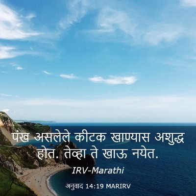 Picture 03 - अनुवाद 14:19 MARIRV - पंख असलेले कीटक - Bible Verse Picture