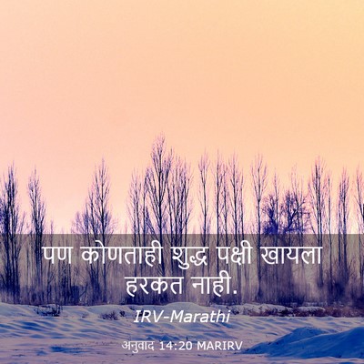 Picture 03 - अनुवाद 14:20 MARIRV - पण कोणताही शुद्ध - Bible Verse Picture
