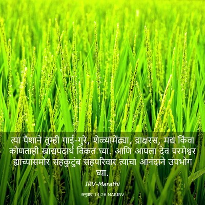 Picture 03 - अनुवाद 14:26 MARIRV - त्या पैशाने - Bible Verse Picture