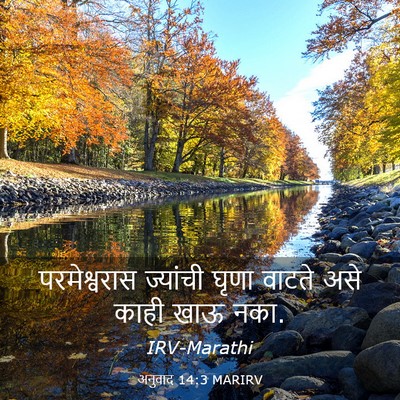 Picture 03 - अनुवाद 14:3 MARIRV - परमेश्वरास - Bible Verse Picture