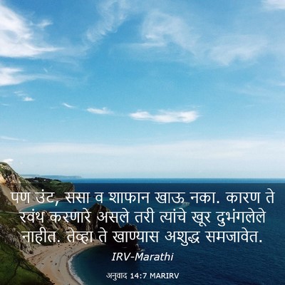 Picture 03 - अनुवाद 14:7 MARIRV - पण उंट, ससा व शाफान - Bible Verse Picture