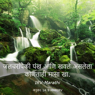 Picture 03 - अनुवाद 14:9 MARIRV - जलचरांपैकी पंख - Bible Verse Picture