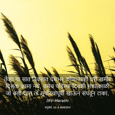 Picture 03 - अनुवाद 16:4 MARIRV - तेव्हा या सात - Bible Verse Picture