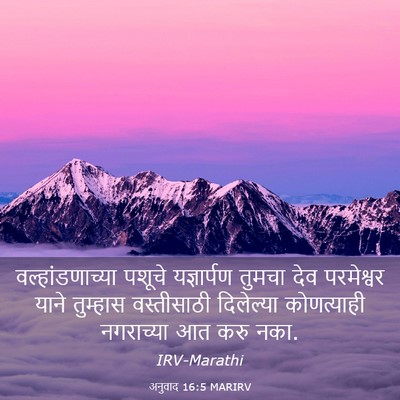 Picture 03 - अनुवाद 16:5 MARIRV - वल्हांडणाच्या - Bible Verse Picture