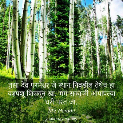 Picture 03 - अनुवाद 16:7 MARIRV - तुझा देव परमेश्वर - Bible Verse Picture