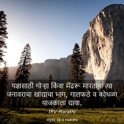 Picture 03 - अनुवाद 18:3 MARIRV - यज्ञासाठी गोऱ्हा - Bible Verse Picture