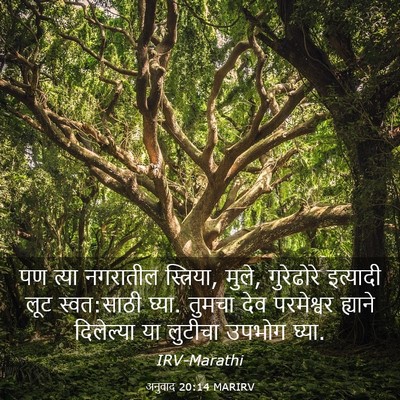Picture 03 - अनुवाद 20:14 MARIRV - पण त्या नगरातील - Bible Verse Picture