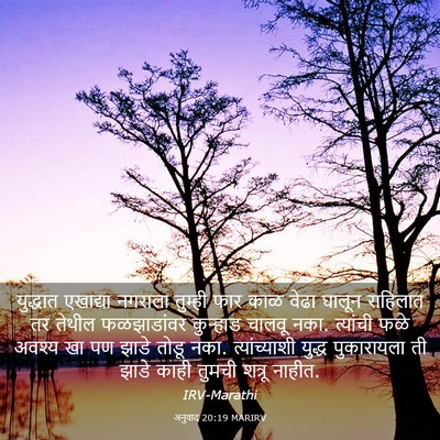 Picture 03 - अनुवाद 20:19 MARIRV - युद्धात एखाद्या - Bible Verse Picture