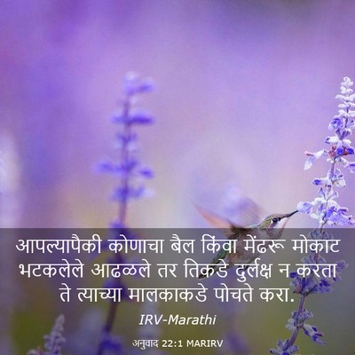 Picture 03 - अनुवाद 22:1 MARIRV - आपल्यापैकी कोणाचा - Bible Verse Picture