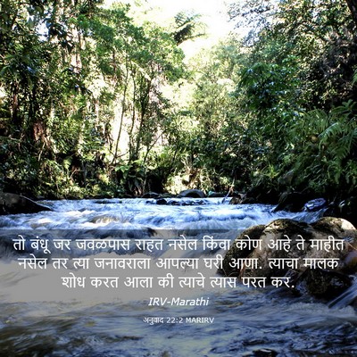 Picture 03 - अनुवाद 22:2 MARIRV - तो बंधू जर जवळपास - Bible Verse Picture