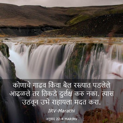 Picture 03 - अनुवाद 22:4 MARIRV - कोणाचे गाढव किंवा - Bible Verse Picture